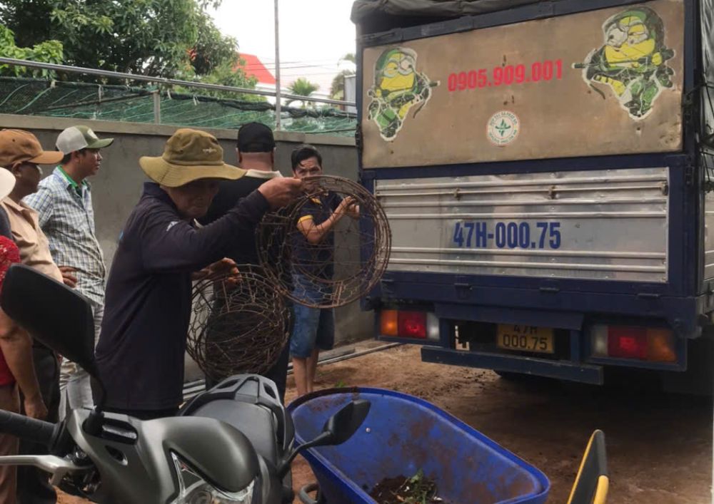 Nơi Bán Cà Phê Giống Chất Lượng Cao (26)